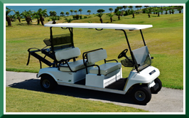 Villager 6 Golf 電動高爾夫球車